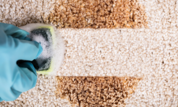 Détacher votre moquette immédiatement pour allonger sa durée de vie Détachage moquette immédiat société nettoyage neosit